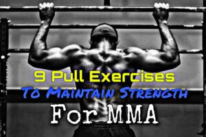 9 Pull Exercises To Maintain Strength For MMA (2020)