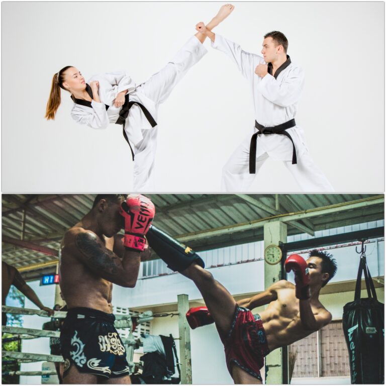 Taekwondo to Muay Thai- High Kick