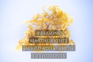 Sea Moss | Reasons Martial Artists Should Add To Their Diets