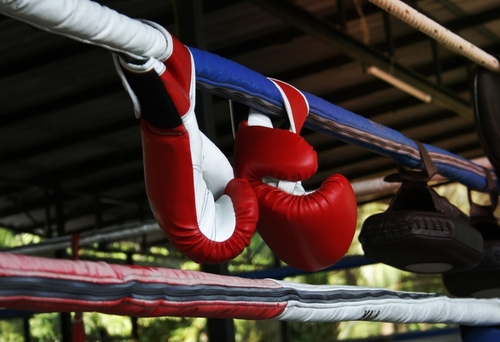 Martial Arts Equipment | Air Drying Boxing Gloves